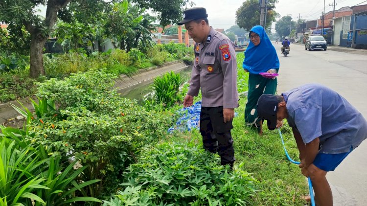 POLRESTA SIDOARJO | Warga Sawocangkring Manfaatkan Lahan Kosong untuk Tanaman Sayur, Dukung Program Ketahanan Pangan Nasional